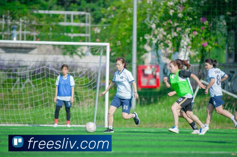 mk体育官网中国官方网平台生态图